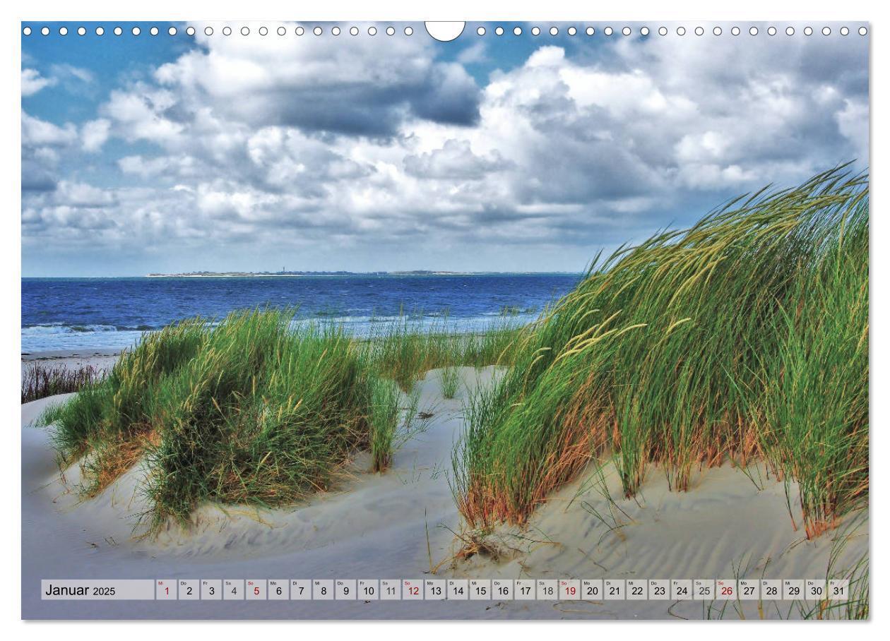 Bild: 9783435418220 | Typisch Amrum! (Wandkalender 2025 DIN A3 quer), CALVENDO...