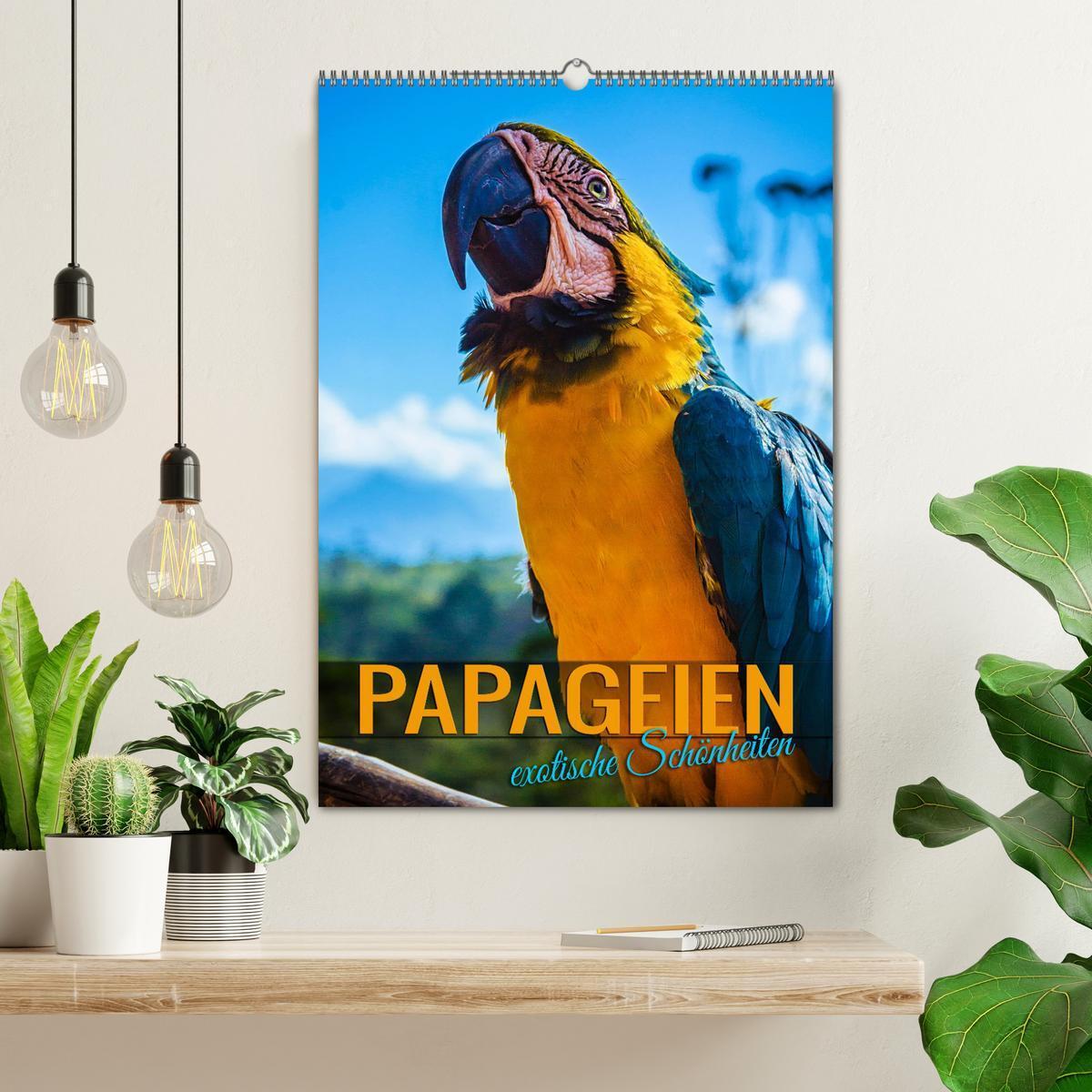 Bild: 9783435886524 | Papageien - exotische Schönheiten (Wandkalender 2025 DIN A2 hoch),...