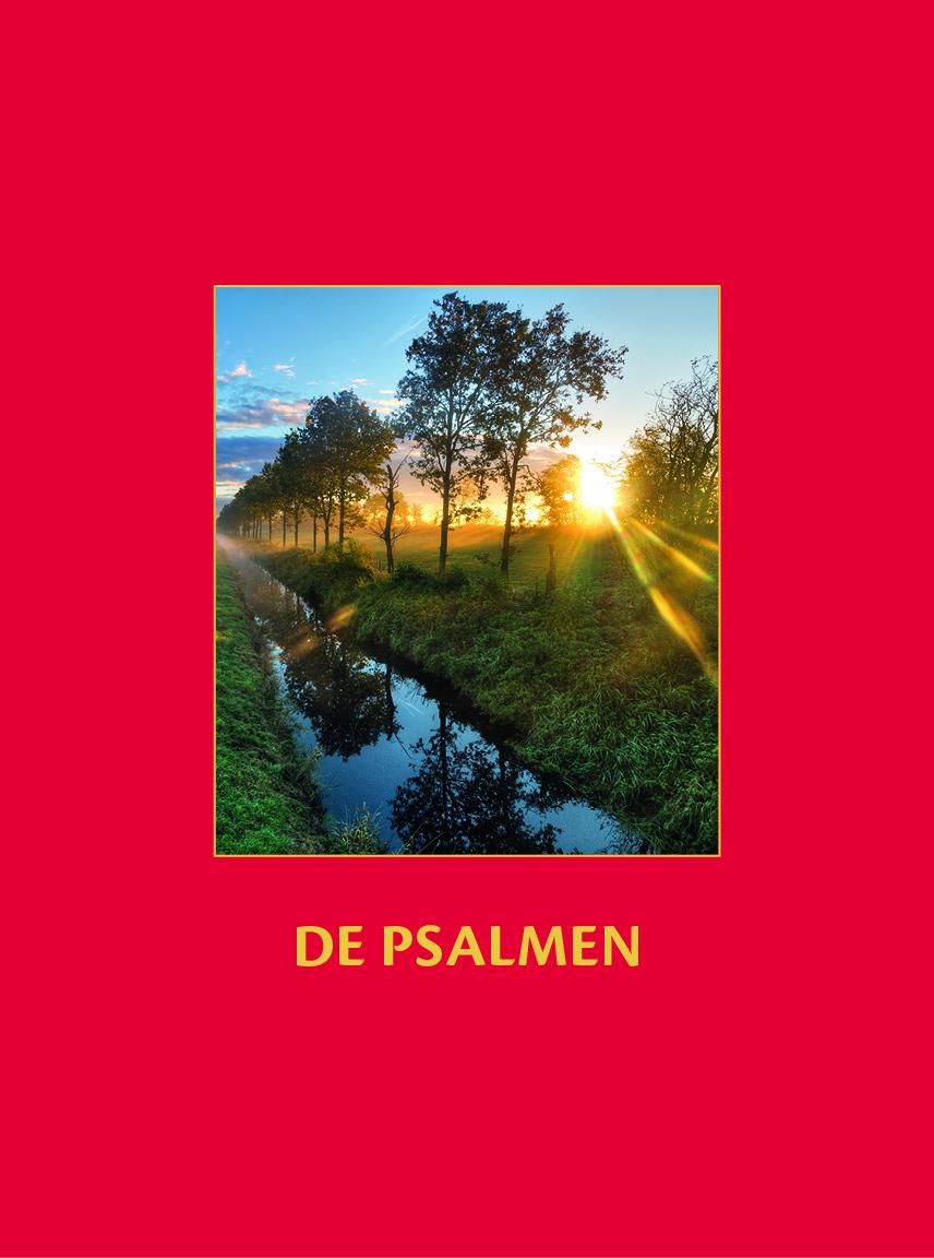 Cover: 9783910358157 | De Psalmen | Die Psalmen in ostfriesischem Plattdeutsch | KG | Buch