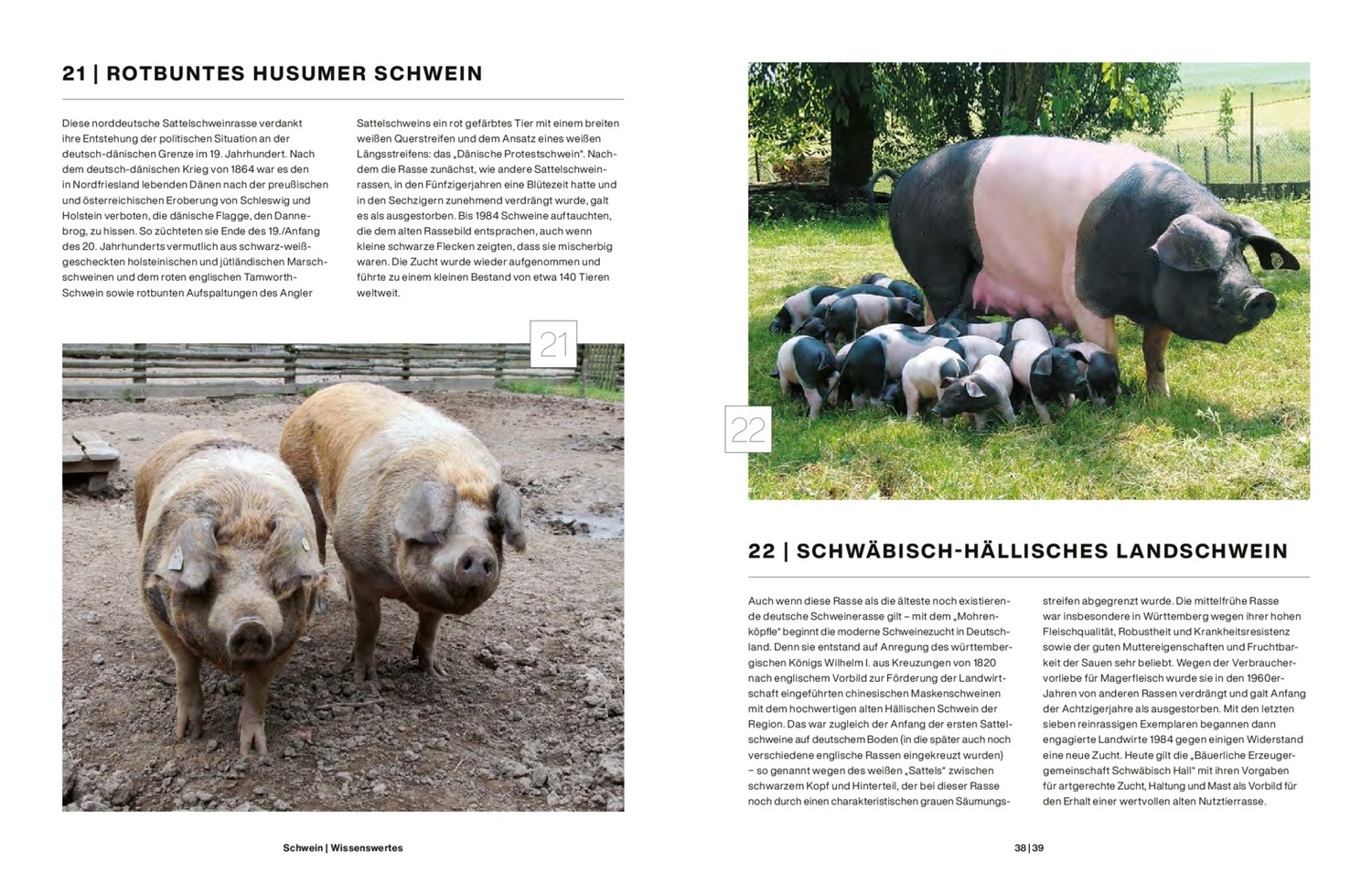 Bild: 9783960331407 | Schwein | (Teubner Küchenpraxis) | Teubner (u. a.) | Buch | 232 S.