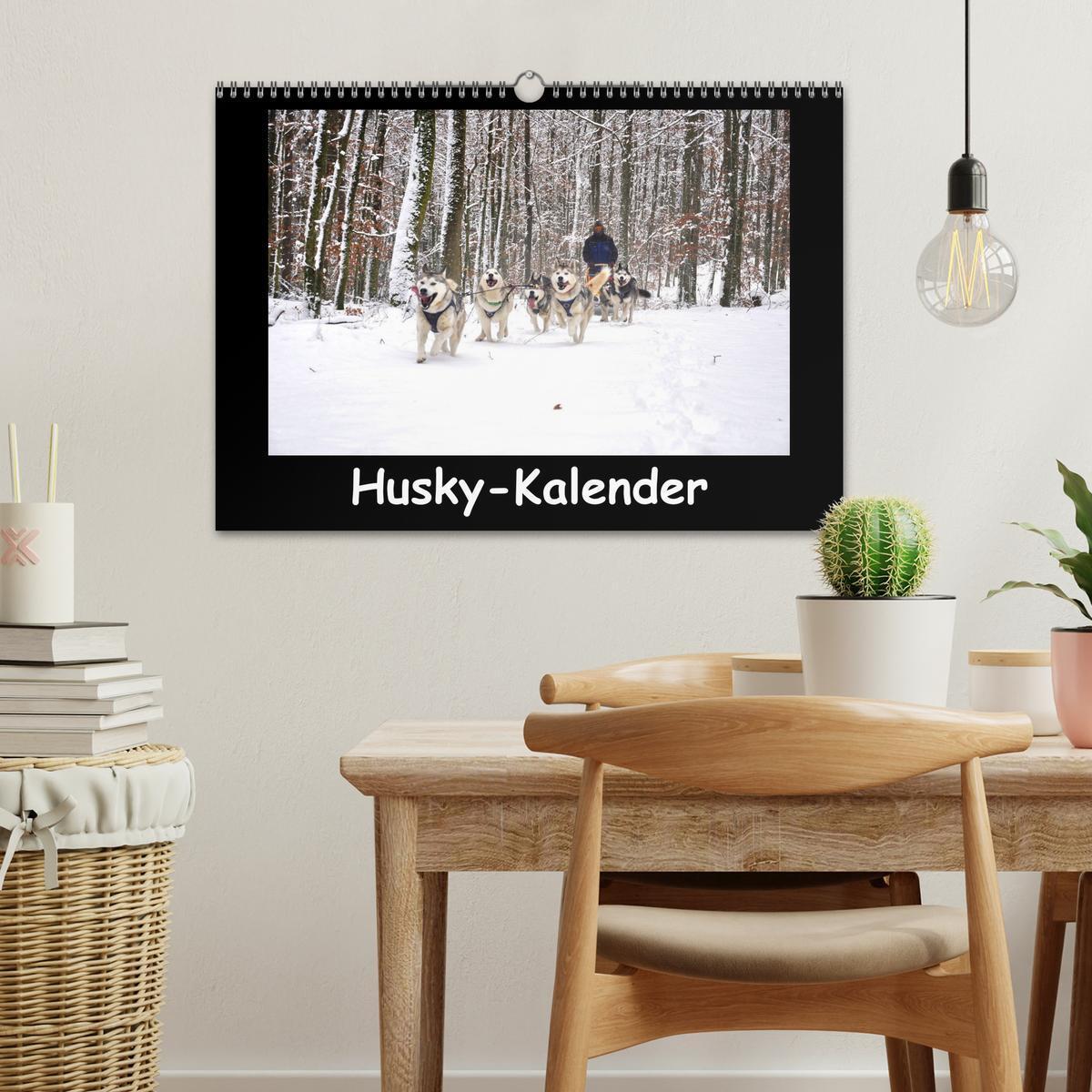 Bild: 9783435837342 | Husky-Kalender (Wandkalender 2025 DIN A3 quer), CALVENDO...