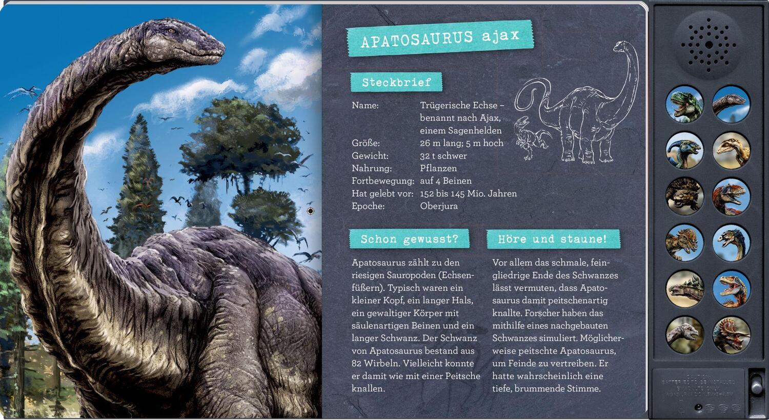 Bild: 9783649647775 | Das große Dinosaurier-Soundbuch | Barbara Wernsing | Buch | 24 S.