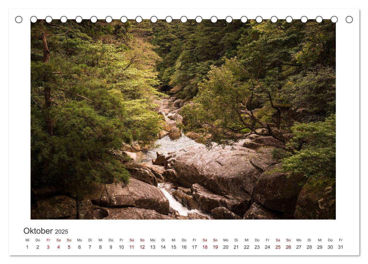 Bild: 9783435343799 | Yakushima - Japans Weltnaturerbe (Tischkalender 2025 DIN A5 quer),...