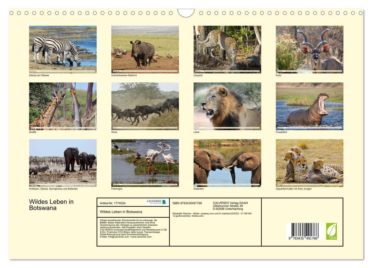 Bild: 9783435491766 | Wildes Leben in Botswana (Wandkalender 2025 DIN A3 quer), CALVENDO...