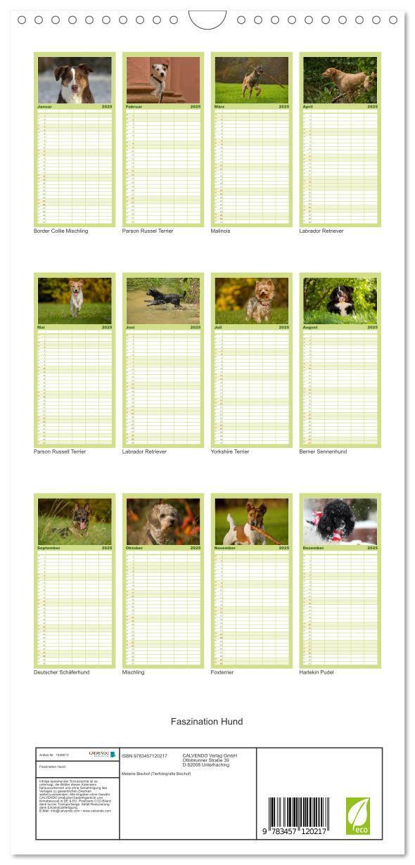 Bild: 9783457120217 | Familienplaner 2025 - Faszination Hund mit 5 Spalten (Wandkalender,...