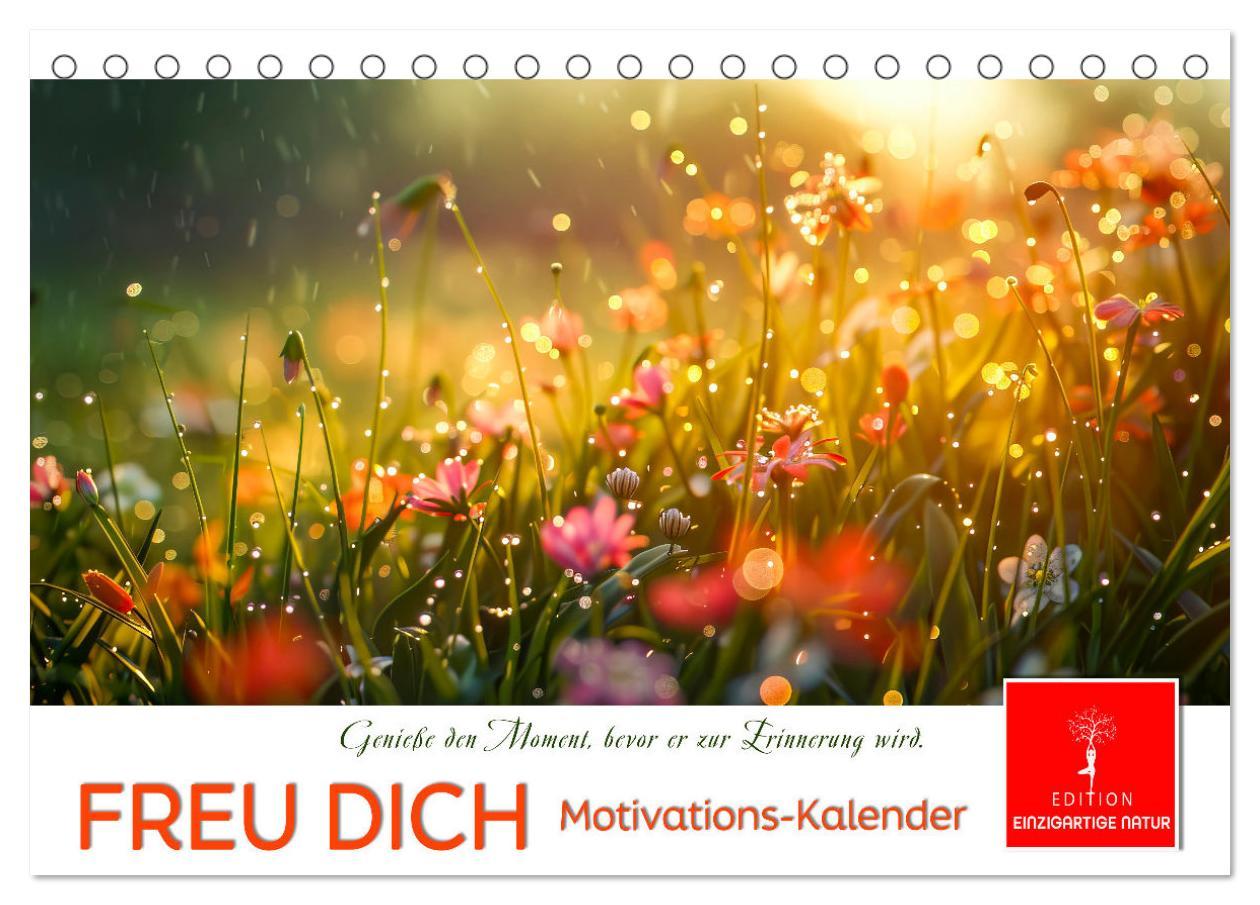 Cover: 9783383814624 | Freu Dich Motivations-Kalender (Tischkalender 2025 DIN A5 quer),...