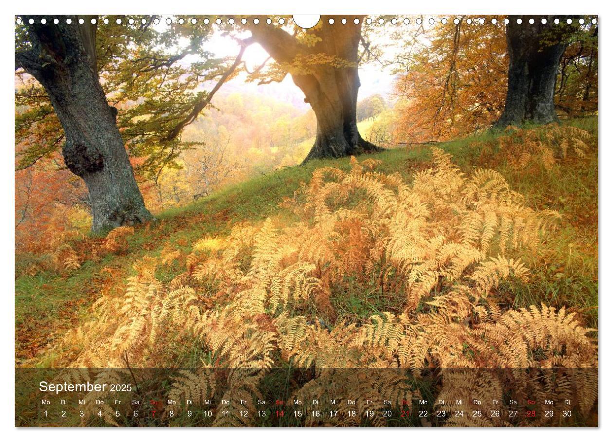 Bild: 9783435639403 | Nur ein Augenblick (Wandkalender 2025 DIN A3 quer), CALVENDO...