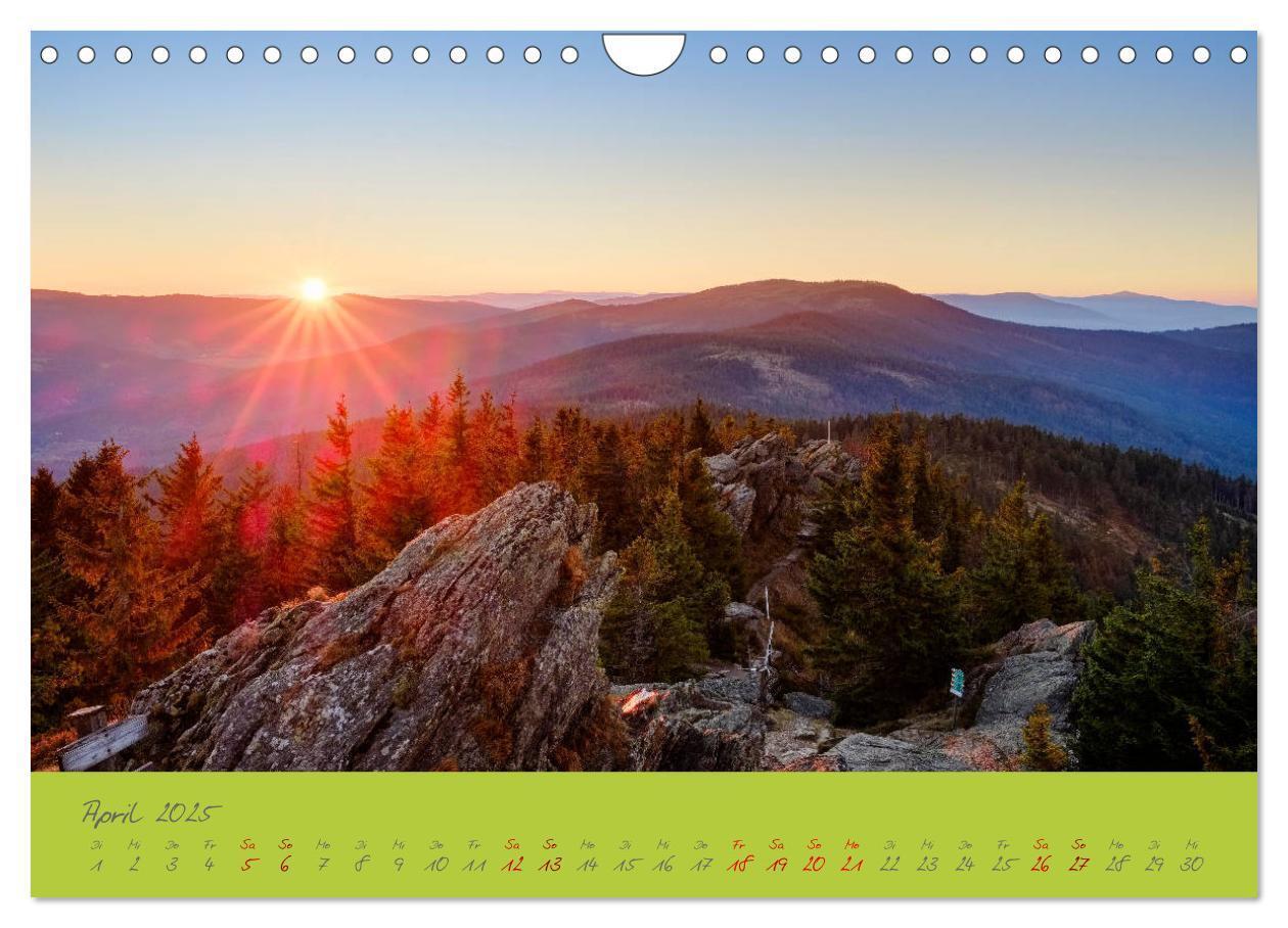 Bild: 9783435194247 | Der Bayerische Wald (Wandkalender 2025 DIN A4 quer), CALVENDO...