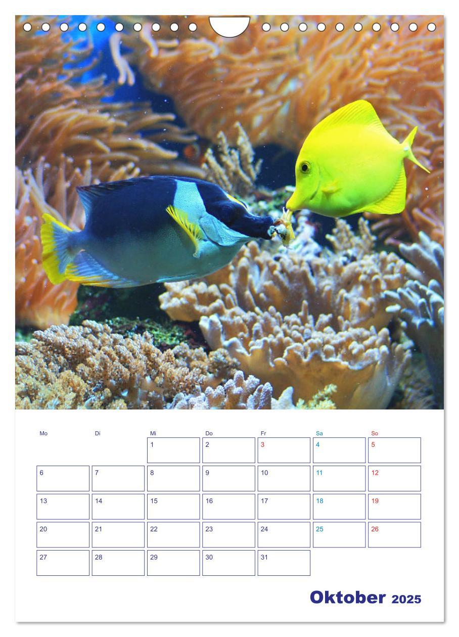 Bild: 9783435936380 | Bunte Meereswelten (Wandkalender 2025 DIN A4 hoch), CALVENDO...