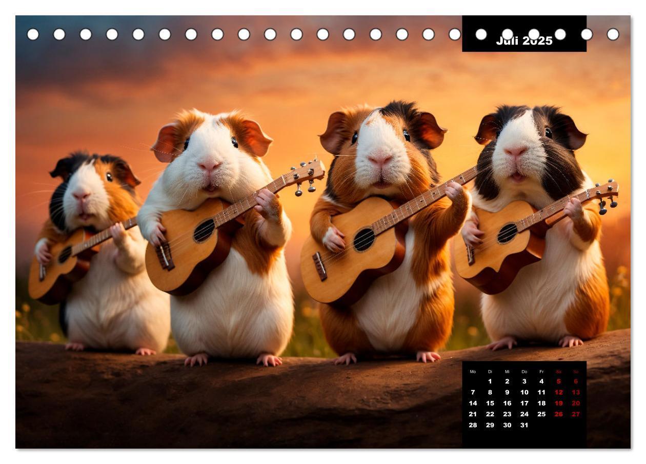 Bild: 9783435013135 | Meerschweinchen mal anders! (Tischkalender 2025 DIN A5 quer),...