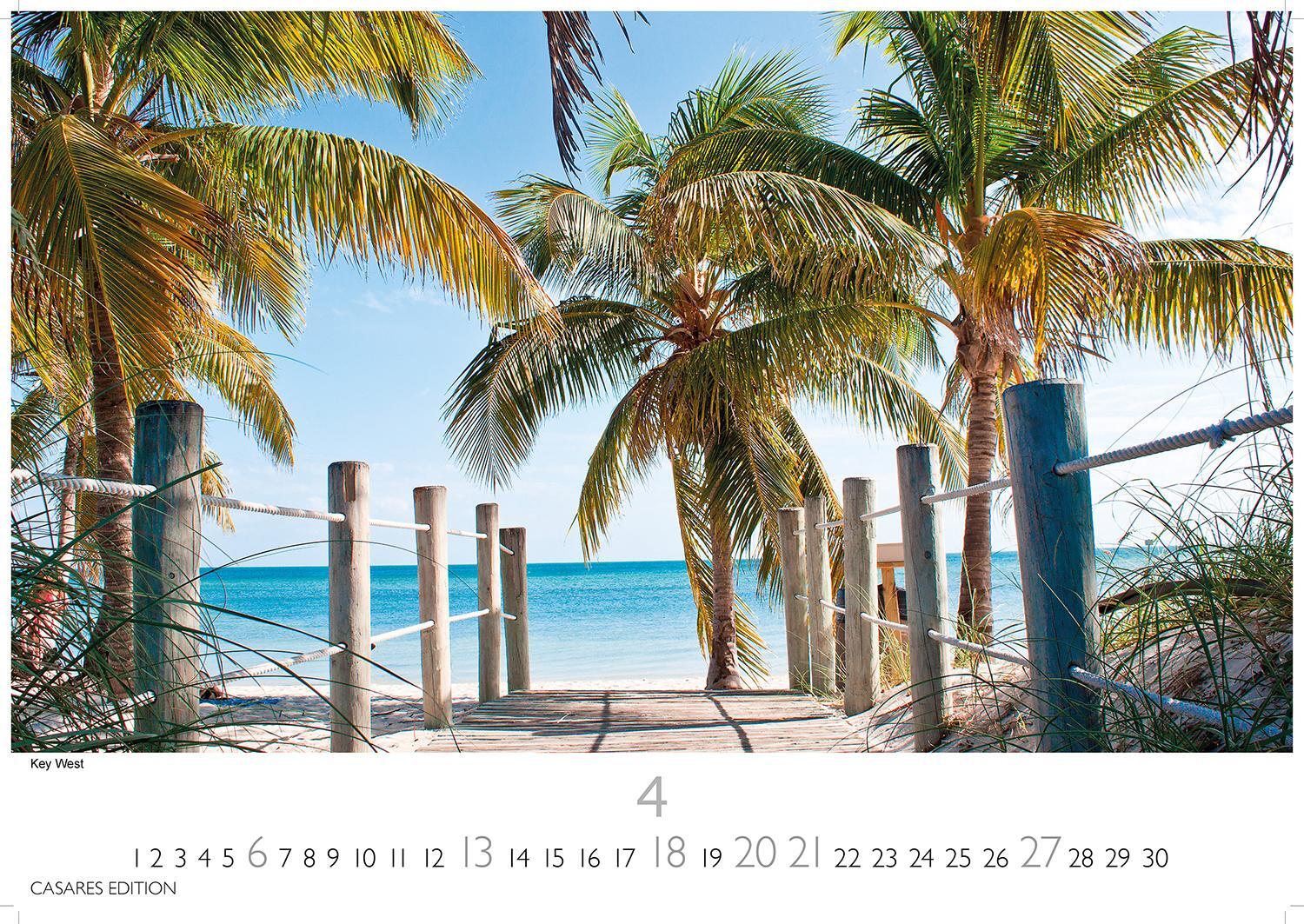 Bild: 9781835242766 | Florida 2025 L 35x50cm | Kalender | 14 S. | Deutsch | 2025