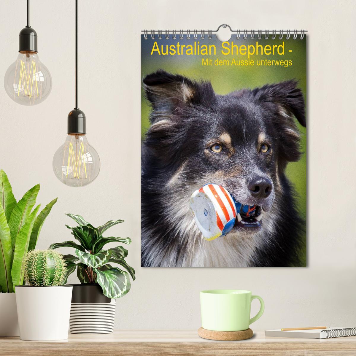 Bild: 9783457061046 | Australian Shepherd ¿ Mit dem Aussie unterwegs (Wandkalender 2025...