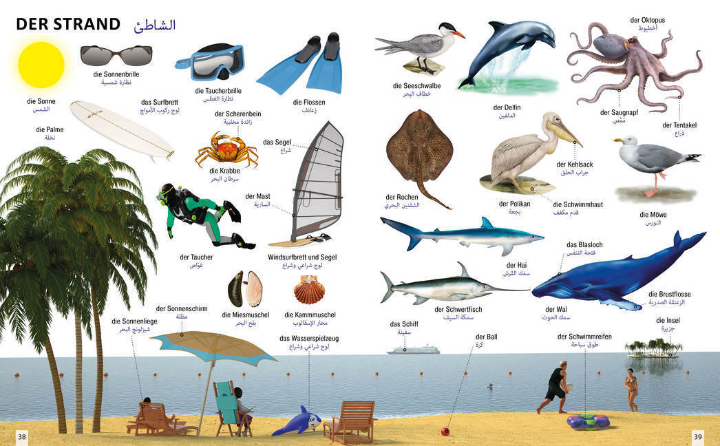 Bild: 9783898947015 | Bildwörterbuch für Kinder und Eltern Arabisch-Deutsch | Igor Jourist