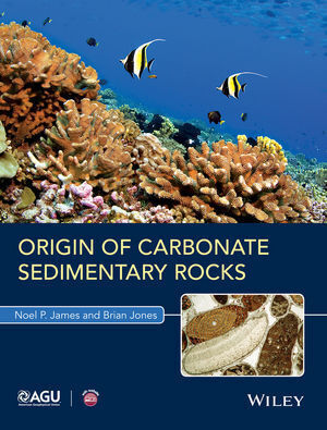 Cover: 9781118652732 | Origin of Carbonate Sedimentary Rocks | Noel P. James (u. a.) | Buch