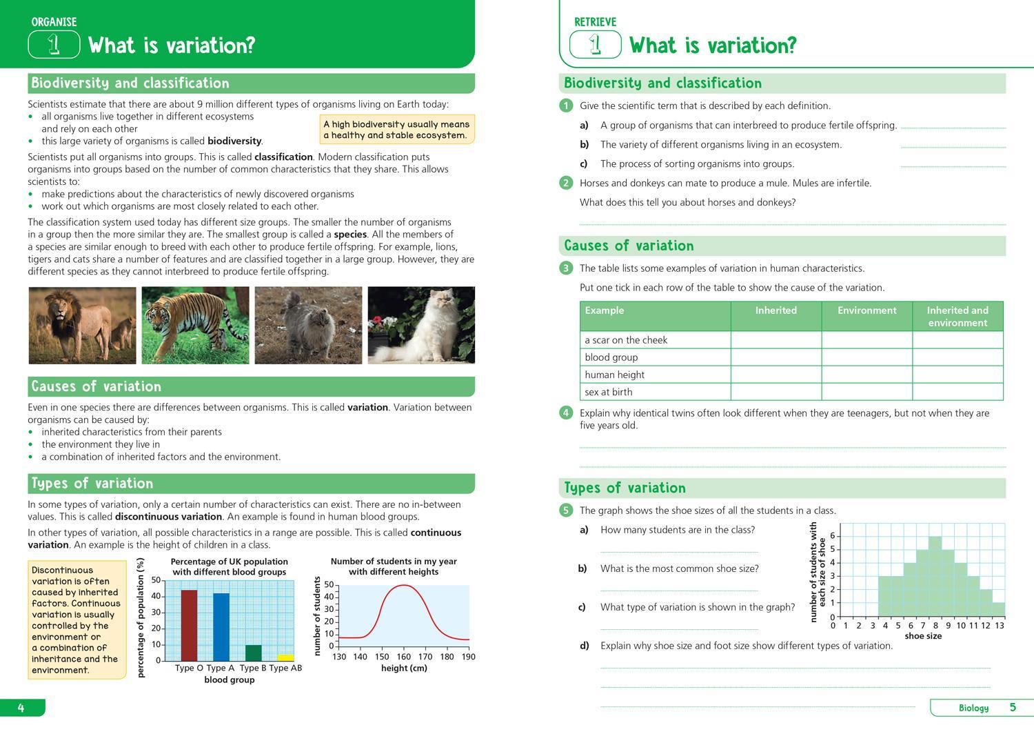 Bild: 9780008598693 | KS3 Science Year 9: Organise and retrieve your knowledge | Collins KS3