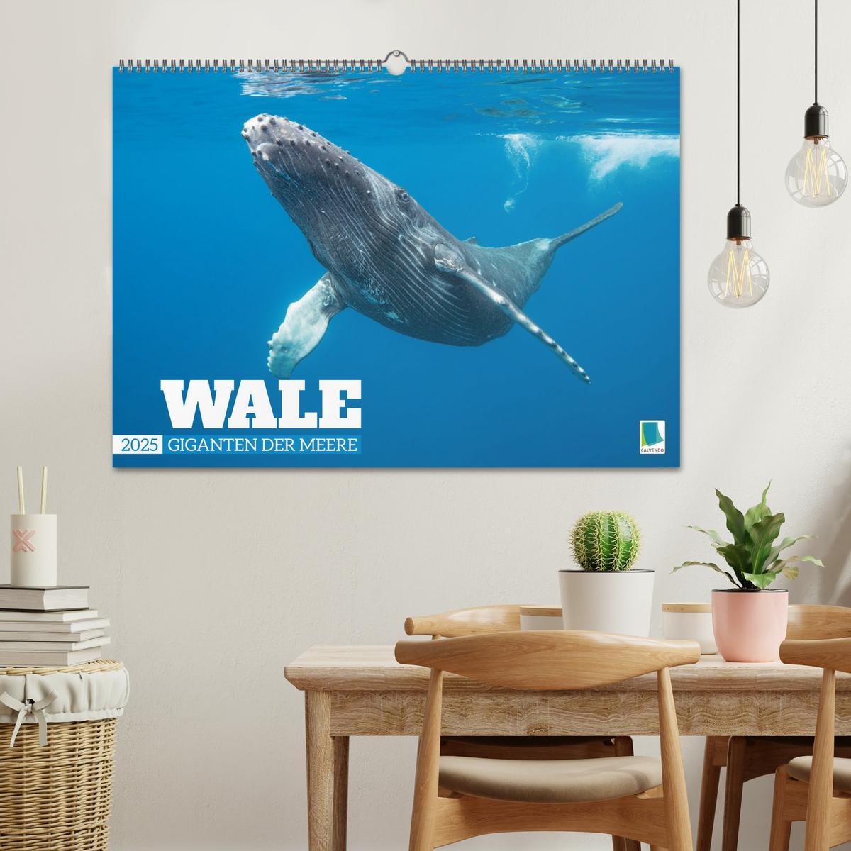 Bild: 9783383865718 | Wale: Giganten der Meere (Wandkalender 2025 DIN A2 quer), CALVENDO...