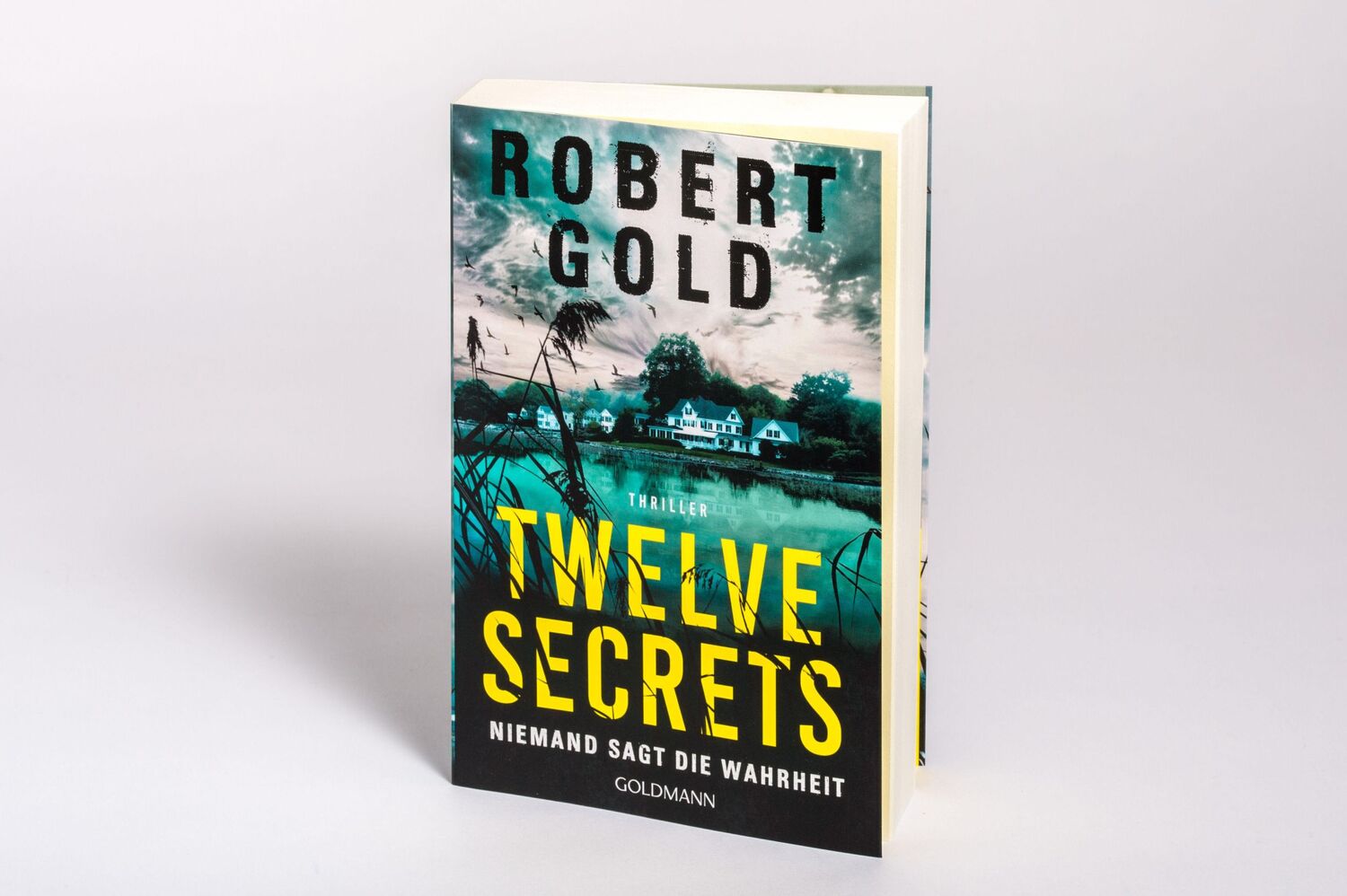 Bild: 9783442494385 | Twelve Secrets - | Niemand sagt die Wahrheit - Thriller | Robert Gold