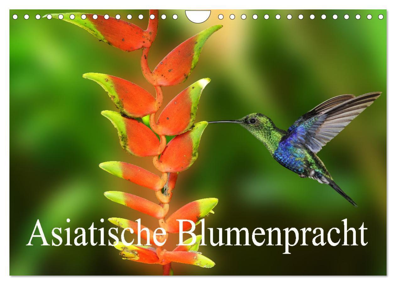 Cover: 9783435052356 | Asiatische Blumenpracht (Wandkalender 2025 DIN A4 quer), CALVENDO...