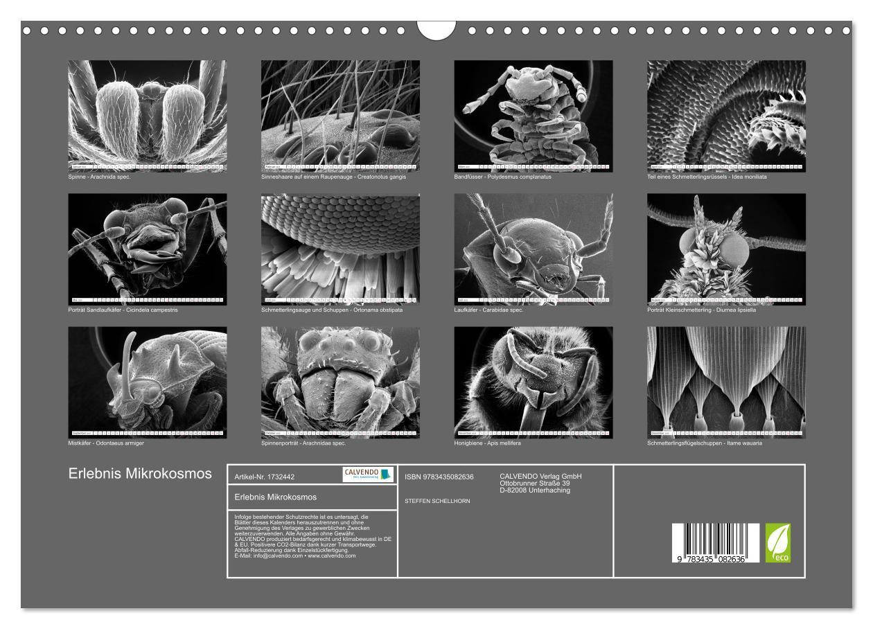 Bild: 9783435082636 | Erlebnis Mikrokosmos (Wandkalender 2025 DIN A3 quer), CALVENDO...