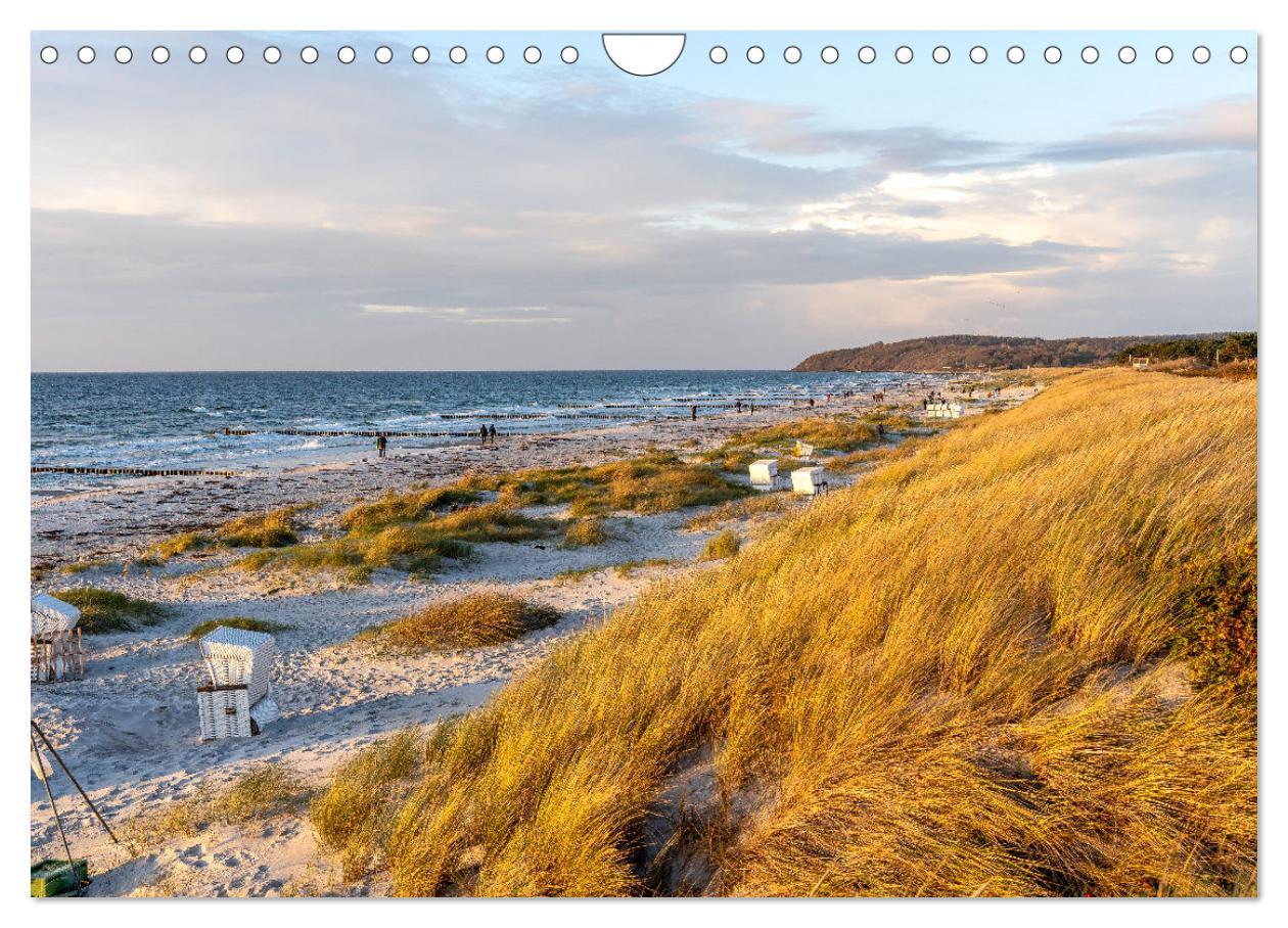 Bild: 9783383848155 | Inseelfeeling - Hiddensee (Wandkalender 2025 DIN A4 quer), CALVENDO...