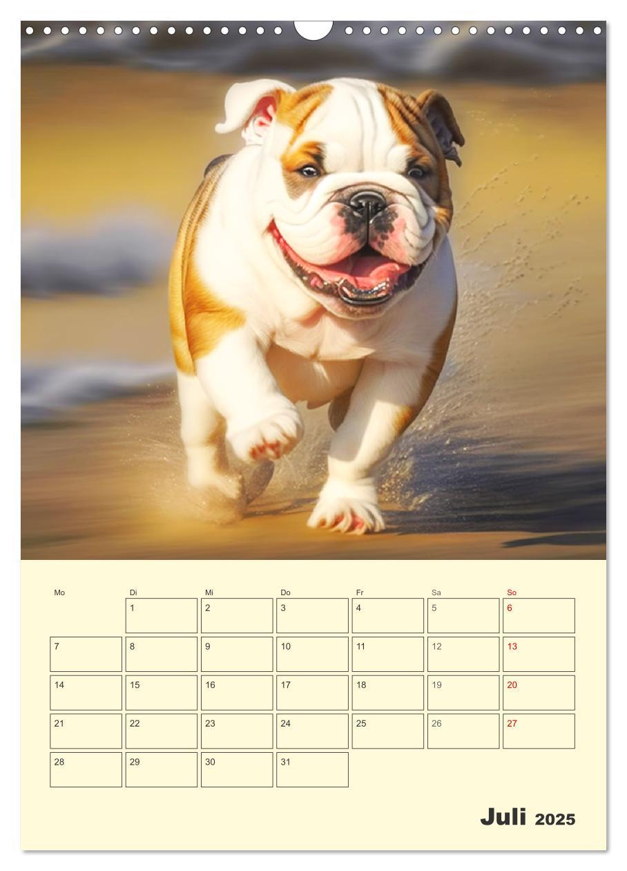 Bild: 9783435875405 | English Bulldogs. Fröhliche Dickköpfe mit Charakter (Wandkalender...