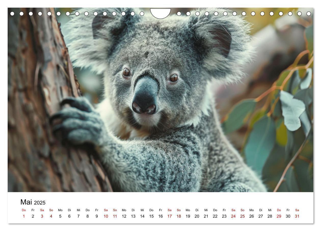 Bild: 9783383800641 | Wildes Down Under: Tiere des Australischen Kontinents (Wandkalender...