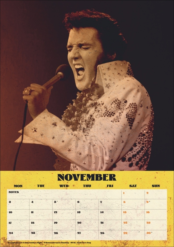 Bild: 9783840196720 | Elvis Posterkalender 2025 | Kalender | Spiralbindung | 14 S. | 2025