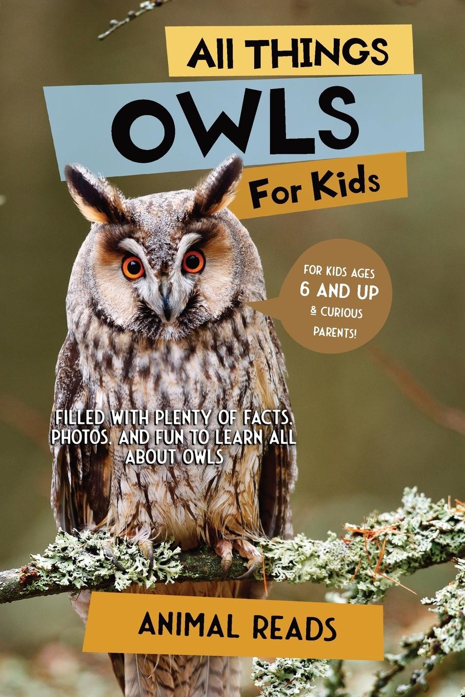 Cover: 9783967721218 | All Things Owls For Kids | Animal Reads | Taschenbuch | Englisch