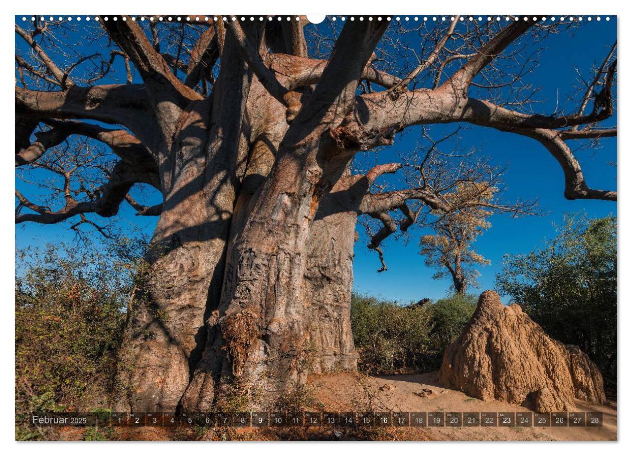 Bild: 9783435725229 | Botswana ¿ Landschaft und Tierwelt (Wandkalender 2025 DIN A2 quer),...