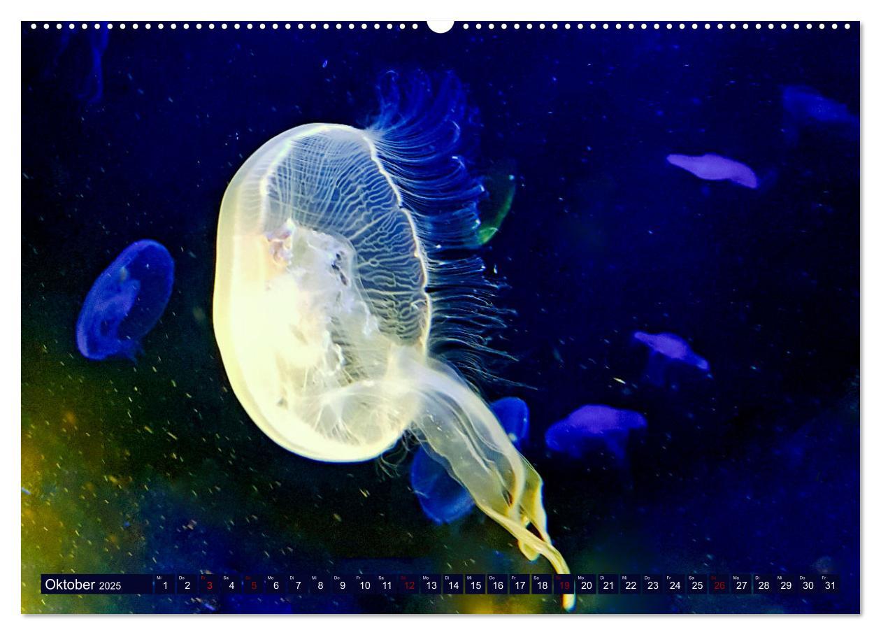 Bild: 9783383953842 | In der Welt der Medusen (hochwertiger Premium Wandkalender 2025 DIN...