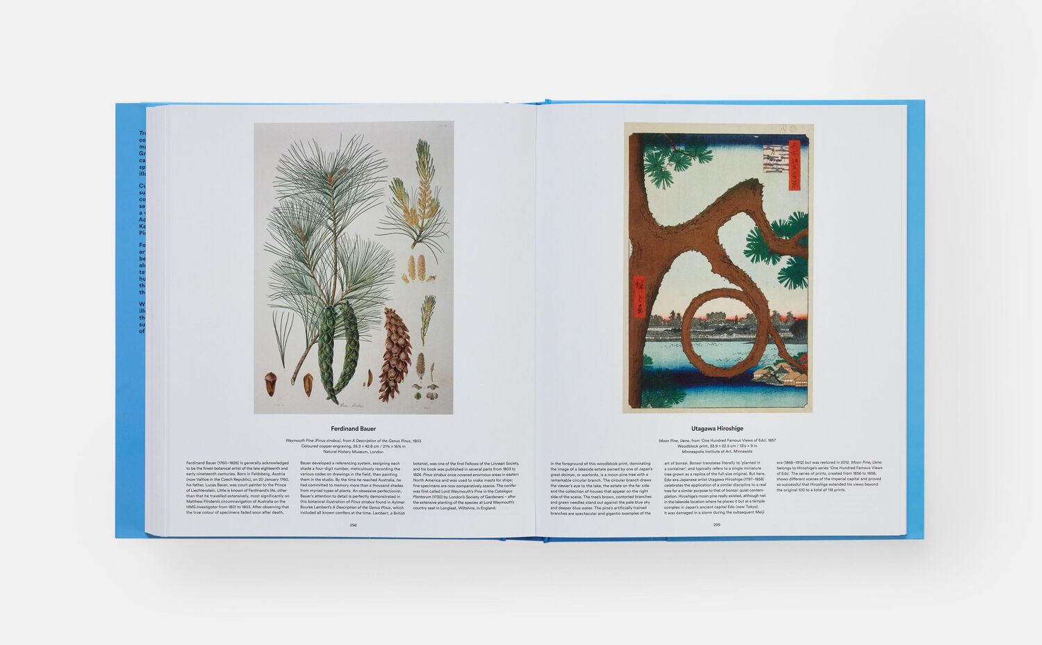 Bild: 9781838667795 | Tree | Exploring the Arboreal World | Phaidon Editors (u. a.) | Buch