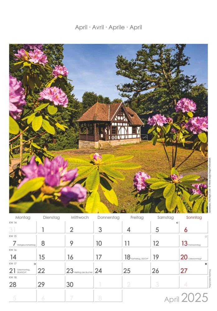 Bild: 4251732343354 | Alpha Edition - Nordrhein-Westfalen 2025 Bildkalender, 23,7x34cm,...