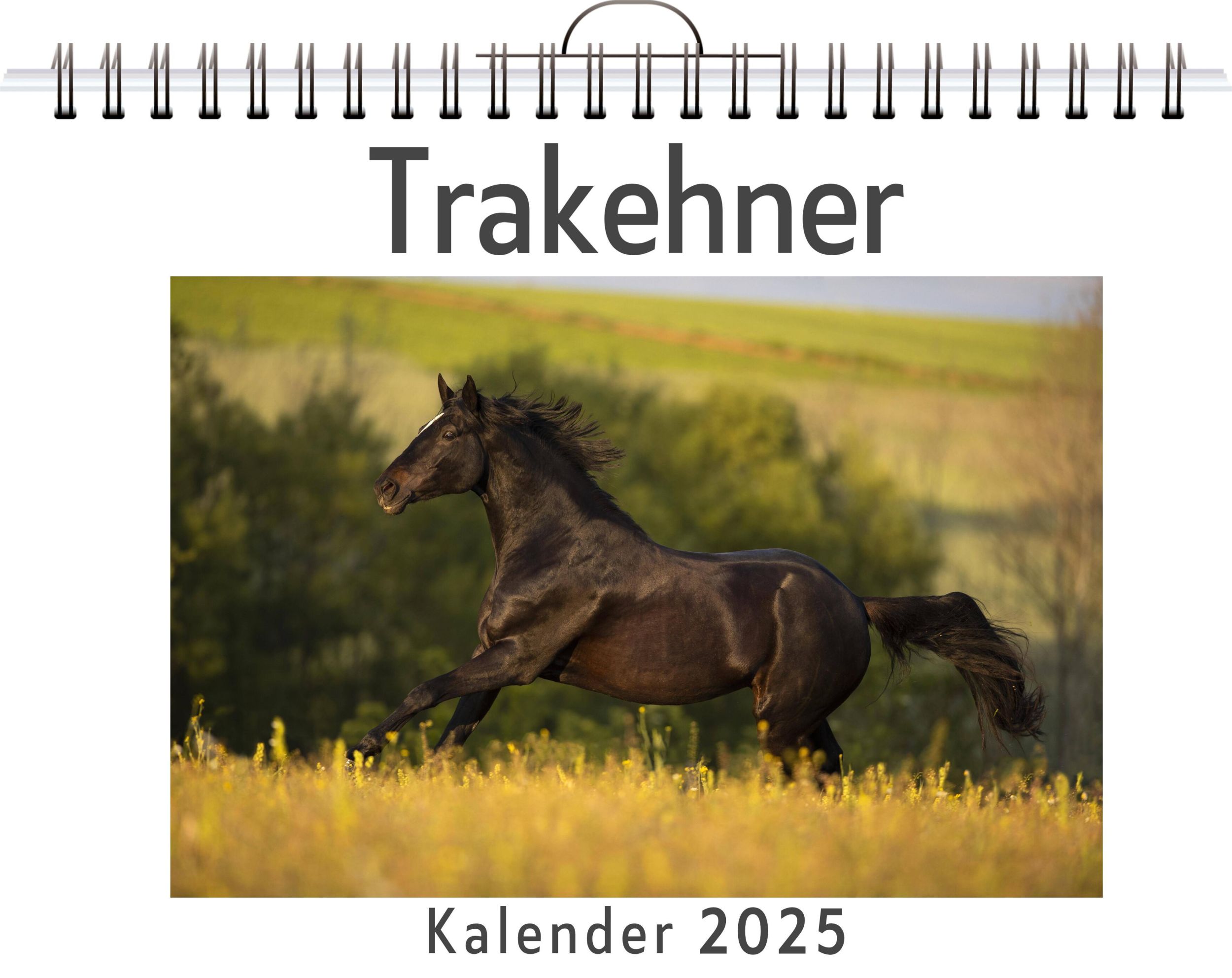 Cover: 9783759132093 | Trakehner | Louis Müller | Kalender | Kalender | 14 S. | Deutsch