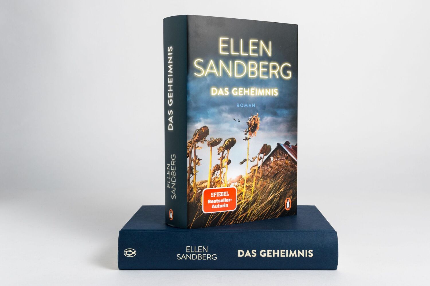 Bild: 9783328601968 | Das Geheimnis | Ellen Sandberg | Buch | 432 S. | Deutsch | 2021