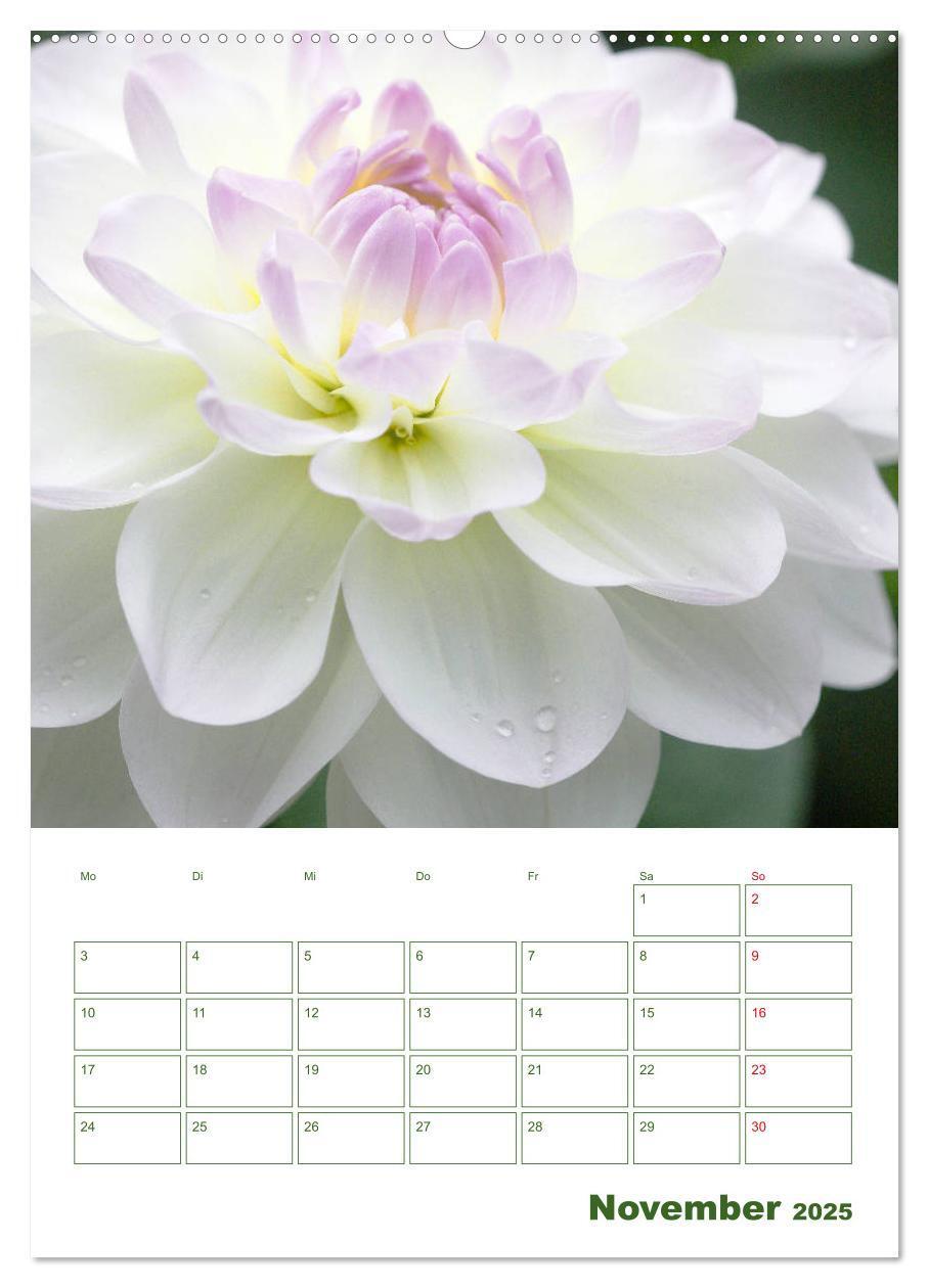 Bild: 9783435965038 | Weiße Blüten im Grünen (Wandkalender 2025 DIN A2 hoch), CALVENDO...