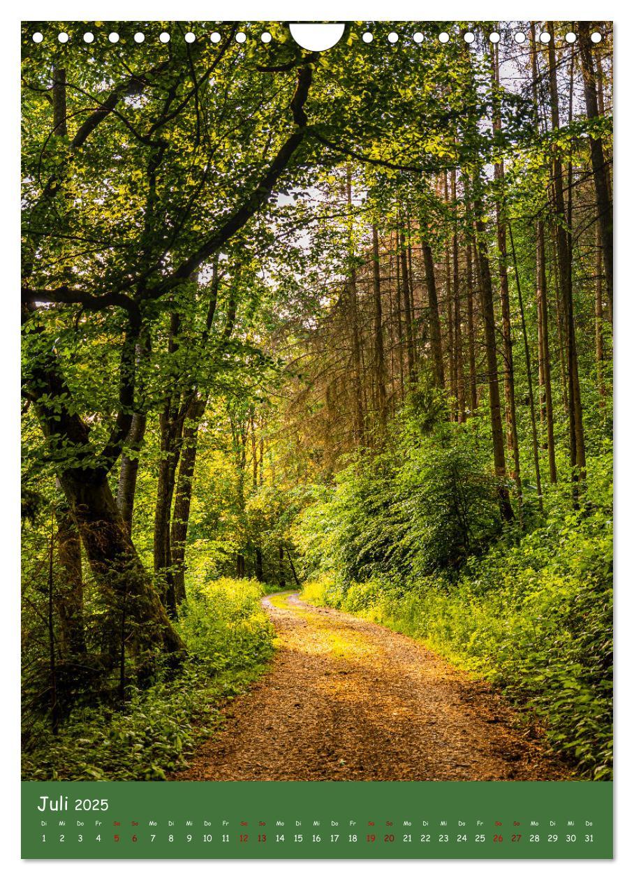 Bild: 9783435862481 | Ich bin dann mal im Wald (Wandkalender 2025 DIN A4 hoch), CALVENDO...