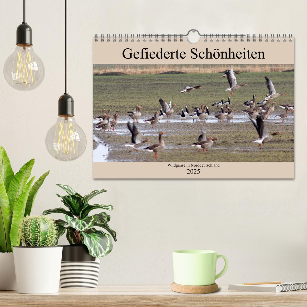 Bild: 9783435377060 | Gefiederte Schönheiten - Wildgänse in Norddeutschland (Wandkalender...