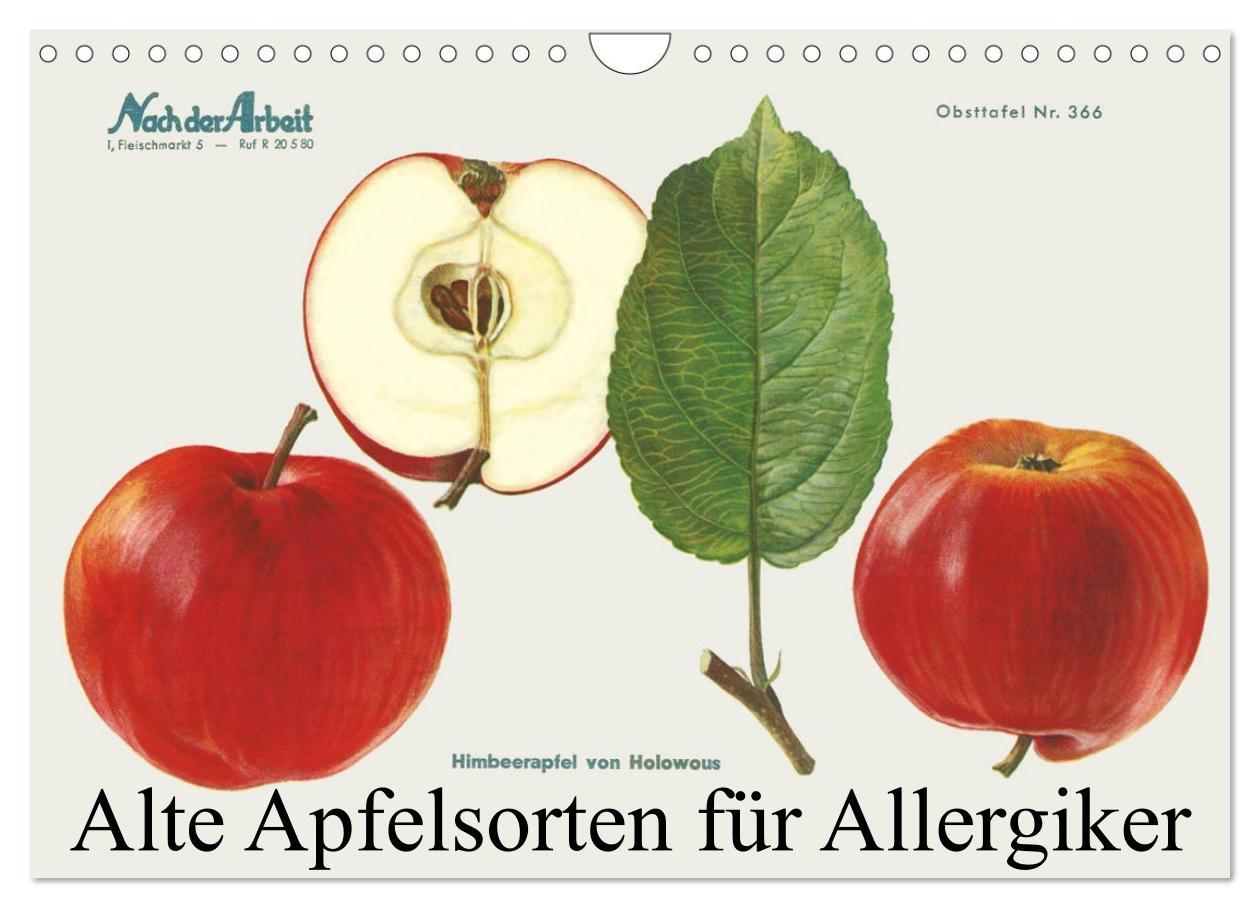 Cover: 9783383952777 | Alte Apfelsorten für Allergiker (Wandkalender 2025 DIN A4 quer),...