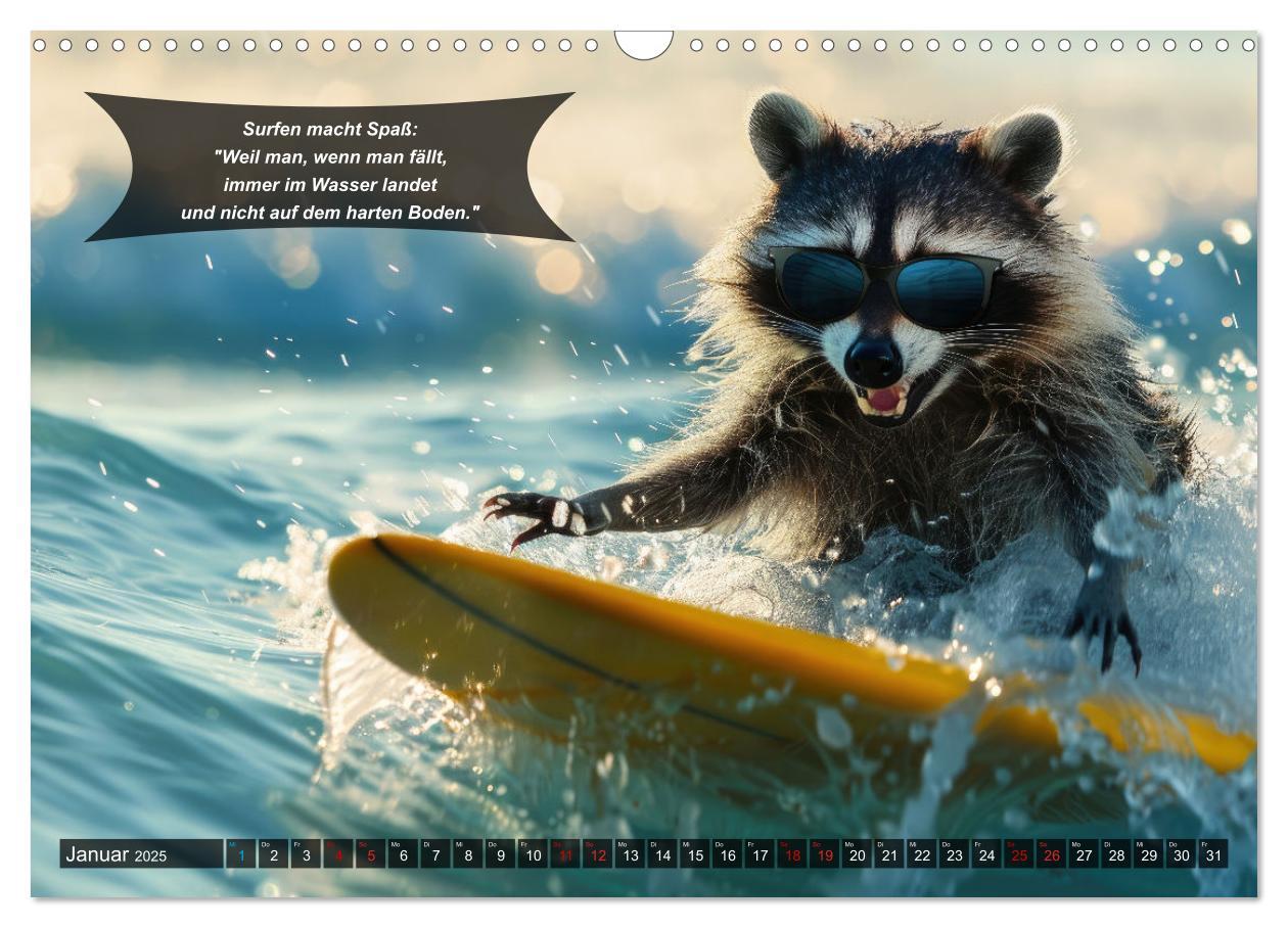 Bild: 9783457156063 | Der tierisch lustige Surfkalender (Wandkalender 2025 DIN A3 quer),...