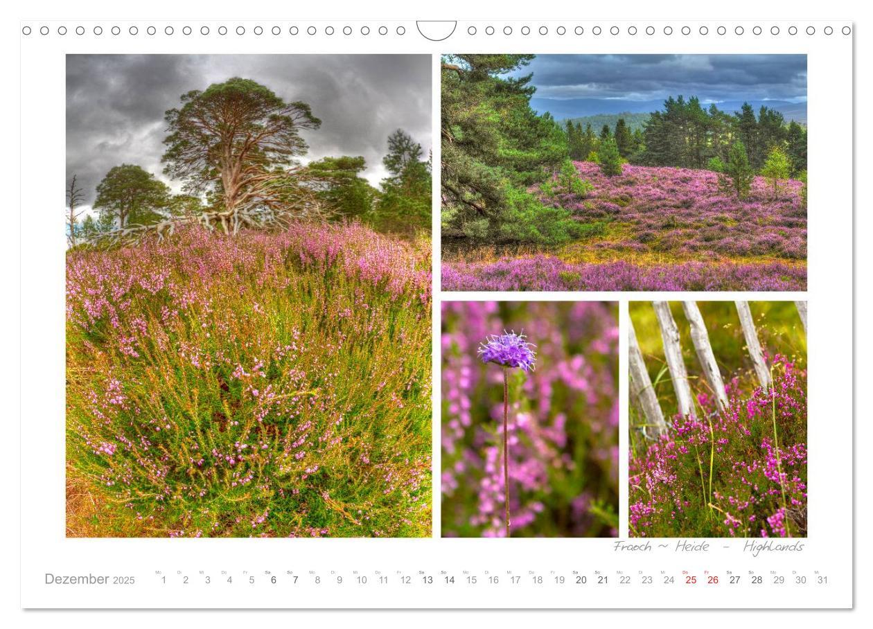 Bild: 9783435822591 | Sehnsucht Schottland (Wandkalender 2025 DIN A3 quer), CALVENDO...