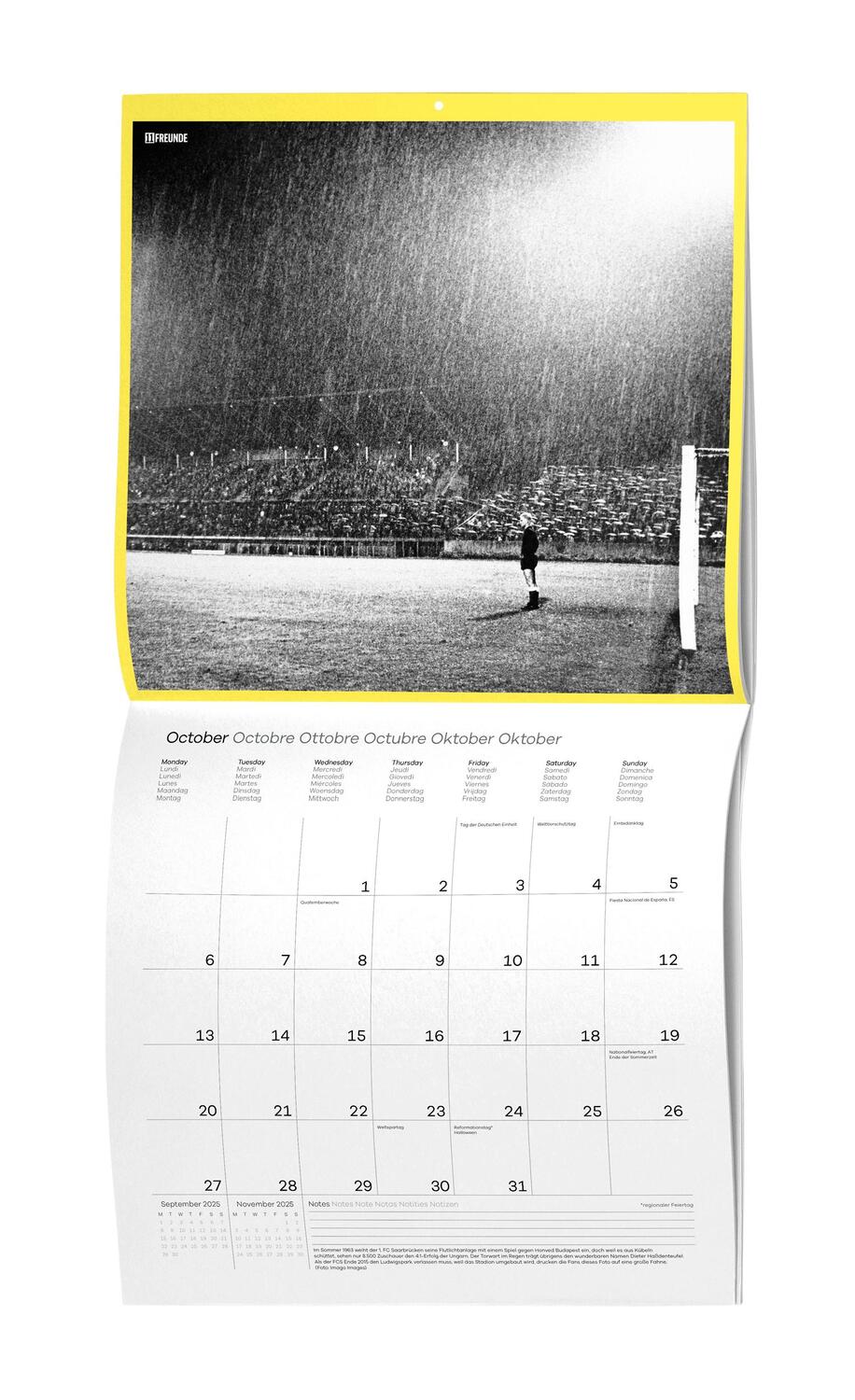 Bild: 4002725995216 | Ein Flutlichtkalender von 11FREUNDE 2025 - Wand-Kalender -...