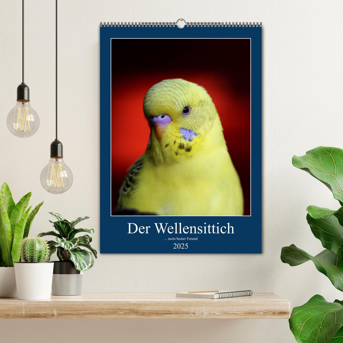 Bild: 9783435918898 | Der Wellensittich - mein bester Freund (Wandkalender 2025 DIN A2...