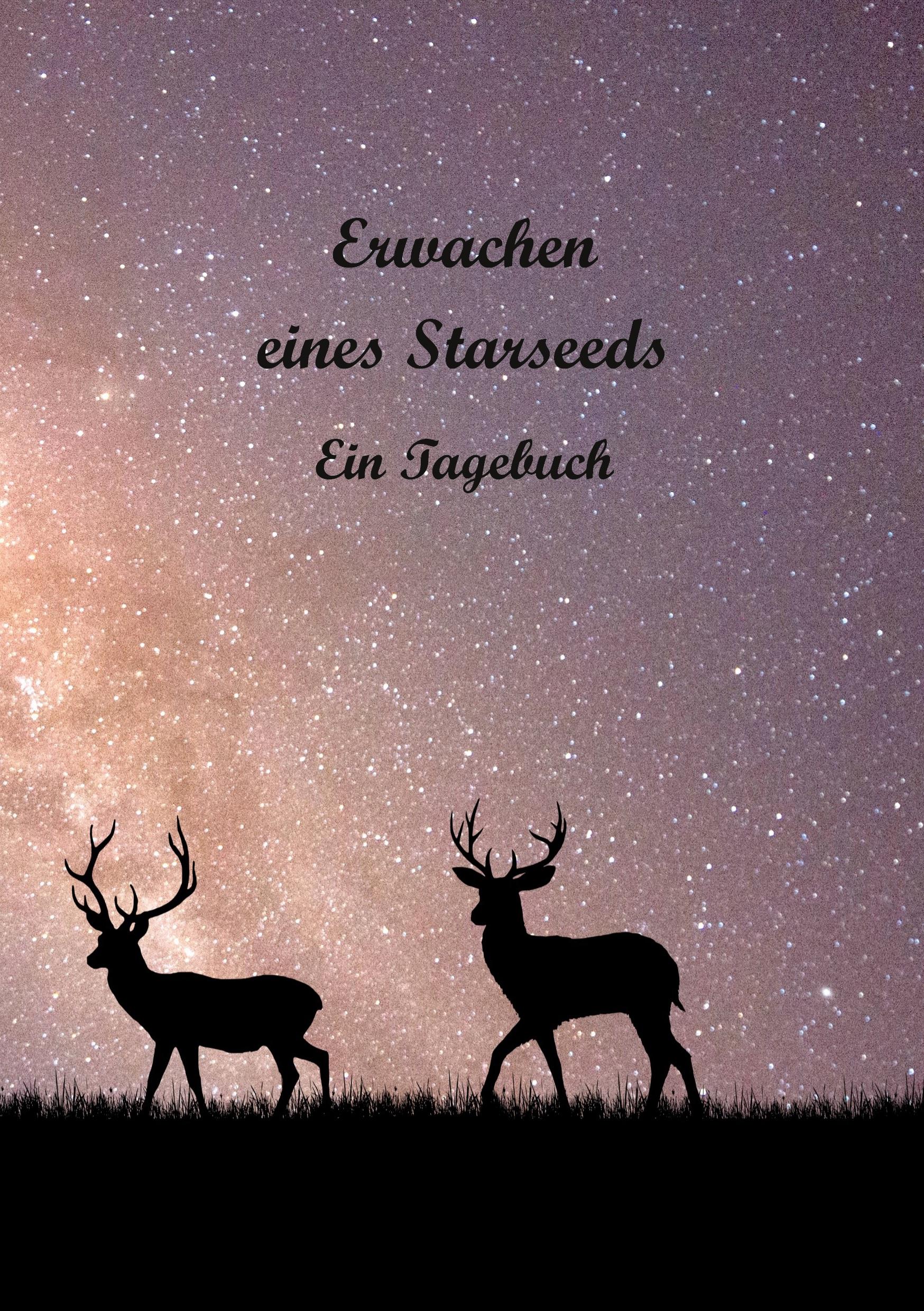 Cover: 9783758351365 | Erwachen eines Starseeds | Ein Tagebuch | Irene Zahn | Taschenbuch