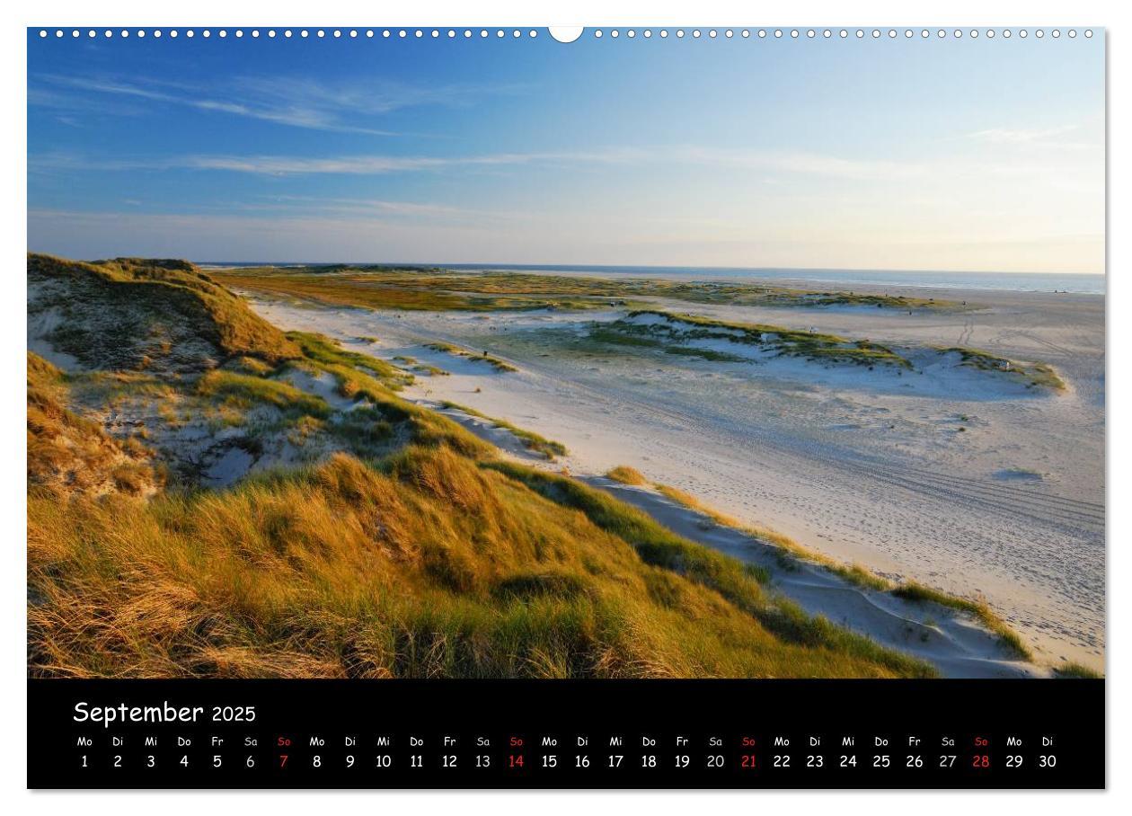 Bild: 9783435826872 | Amrum (Wandkalender 2025 DIN A2 quer), CALVENDO Monatskalender | 2025