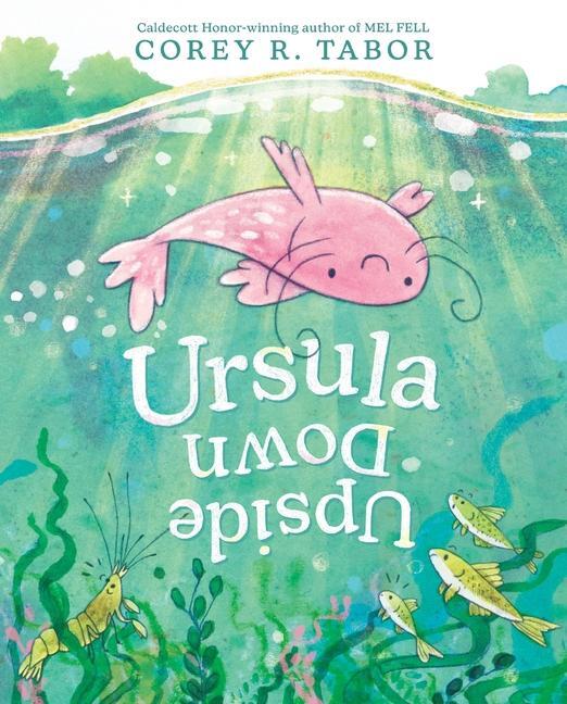 Cover: 9780063275560 | Ursula Upside Down | Corey R. Tabor | Buch | Englisch | 2024