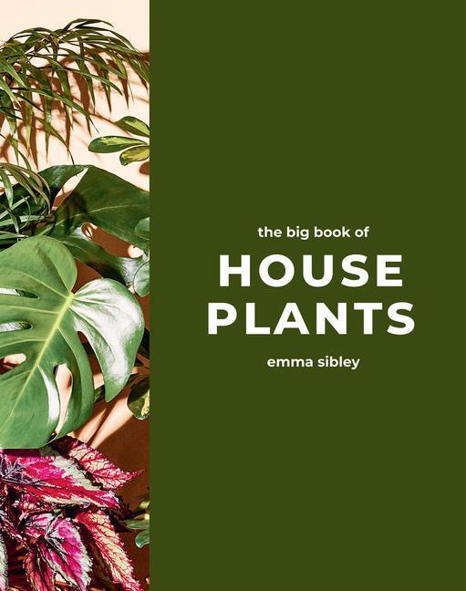 Cover: 9781787139428 | The Big Book of House Plants | Emma Sibley | Buch | Englisch | 2024