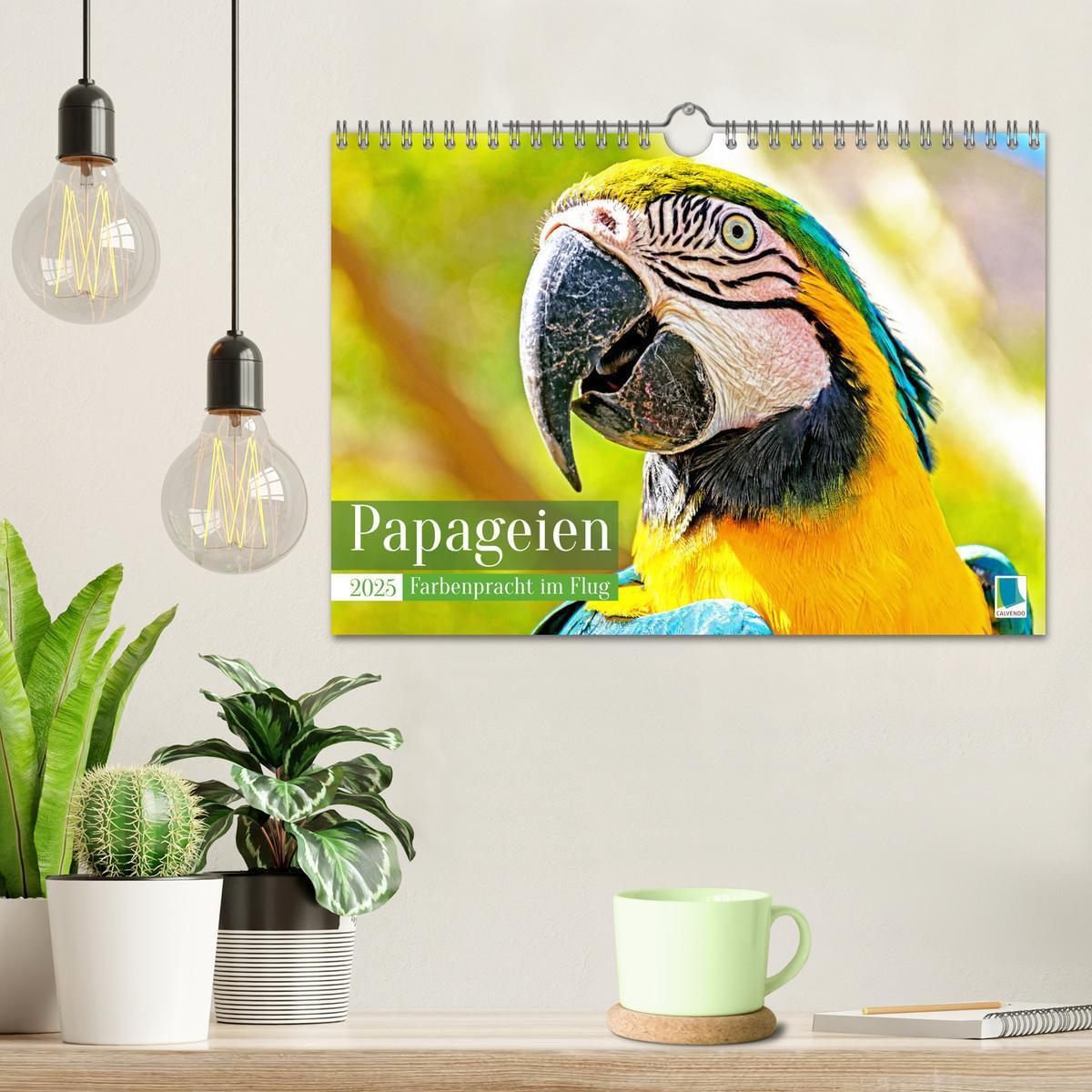 Bild: 9783383777967 | Papageien: Farbenpracht im Flug (Wandkalender 2025 DIN A4 quer),...