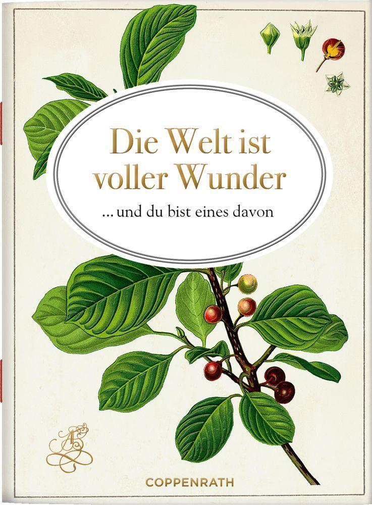 Cover: 9783649642725 | Die Welt ist voller Wunder | ... und du bist eines davon | Broschüre