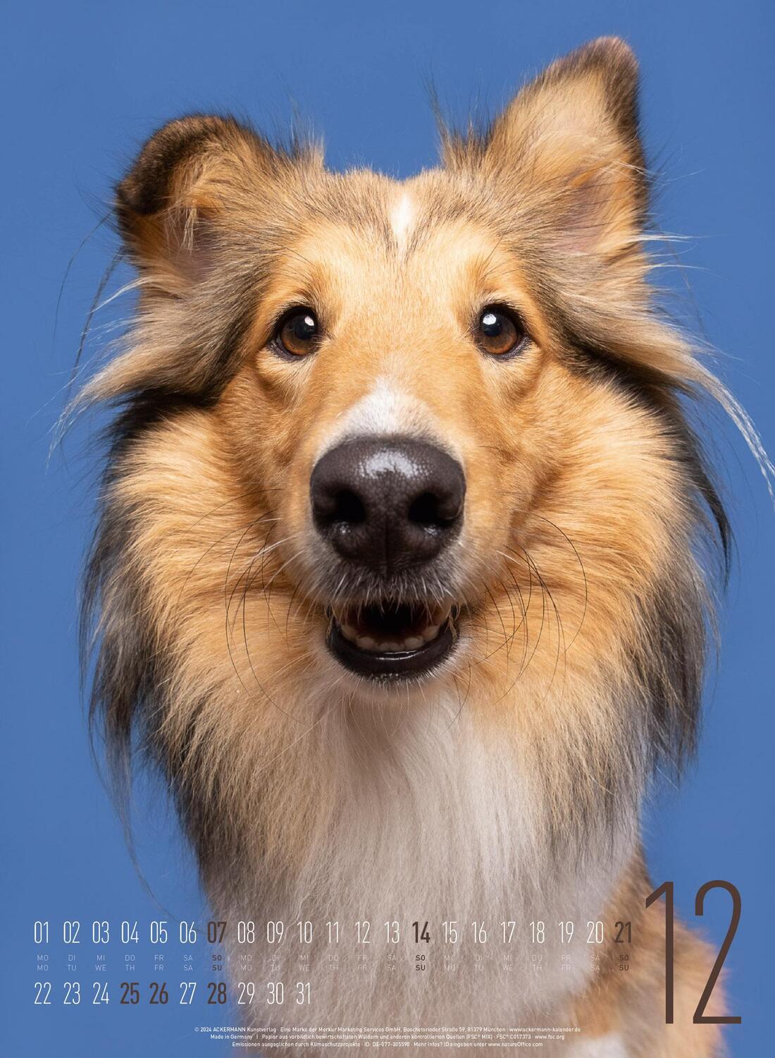 Bild: 9783838425870 | Frei Schnauze - Kalender 2025 | Elke Vogelsang (u. a.) | Kalender