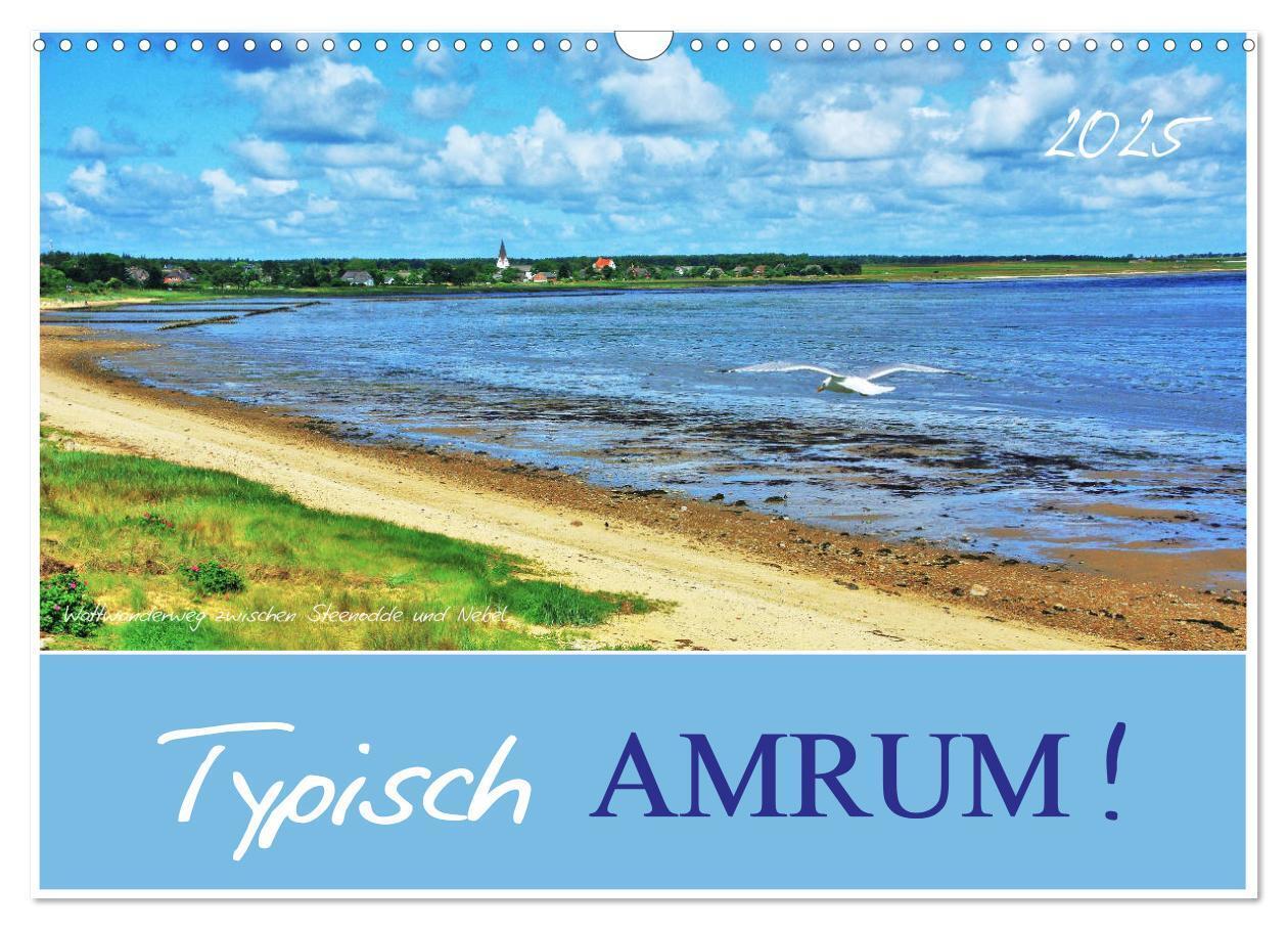 Cover: 9783435418220 | Typisch Amrum! (Wandkalender 2025 DIN A3 quer), CALVENDO...